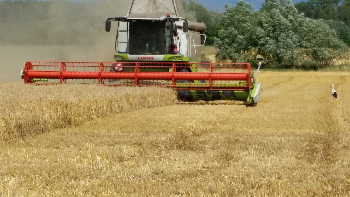 Da taucht bei mir die Frage aus: Hab ich was verpasst? Das Jahr neigt sich dem Ende zu!