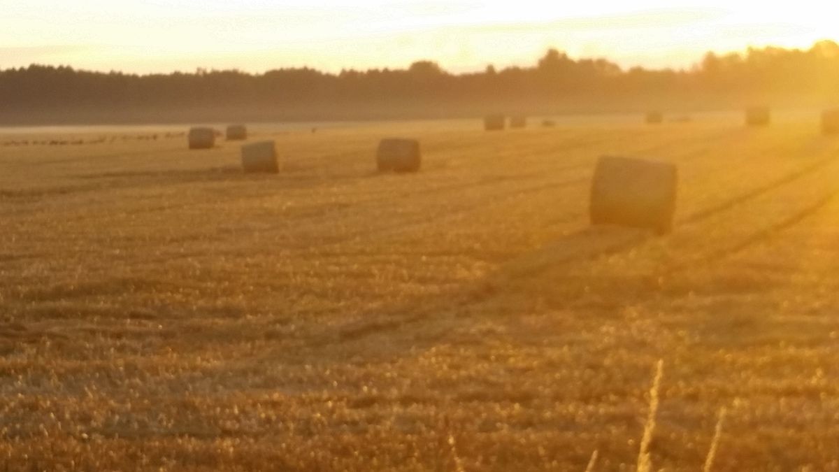 Da taucht bei mir die Frage aus: Hab ich was verpasst? Das Jahr neigt sich dem Ende zu!