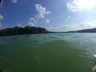 Der Juli ist vorbei! Ich hatte keine nennenswertigen Beeinträchtigungen. Ein Tag mal ja, die ständige Zugluft im Büro, aber inzwischen weiß ich, wie ich manche Sachen schnell wieder gerade gerückt bekomme. Krafttraining habe ich etwas zurückgenommen, dass wird aber wieder hochgeschraubt.