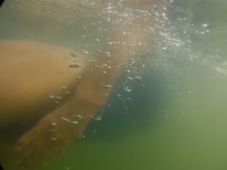 Der Juli ist vorbei! Ich hatte keine nennenswertigen Beeinträchtigungen. Ein Tag mal ja, die ständige Zugluft im Büro, aber inzwischen weiß ich, wie ich manche Sachen schnell wieder gerade gerückt bekomme. Krafttraining habe ich etwas zurückgenommen, dass wird aber wieder hochgeschraubt.