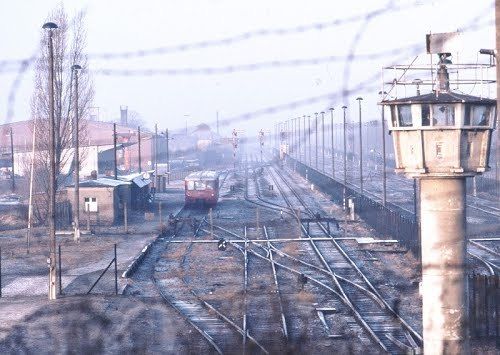 Es geht doch...Triathleten werden im Winter geboren.