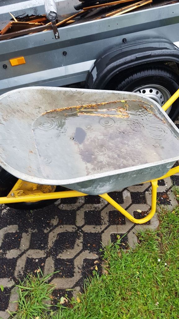 25.Safadi Triathlon am Werbellinsee