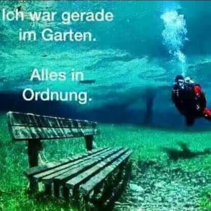 25.Safadi Triathlon am Werbellinsee