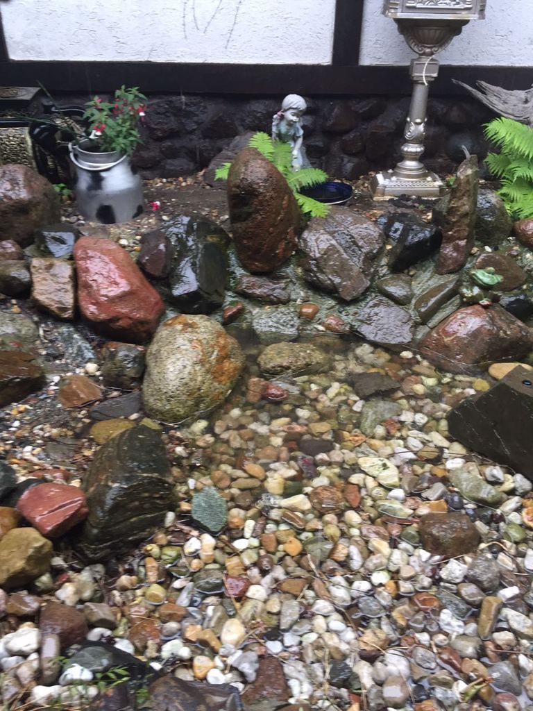 25.Safadi Triathlon am Werbellinsee