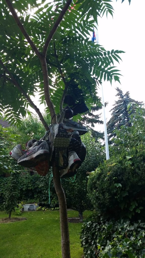 Trainingsausfahrt am Samstag 5. August