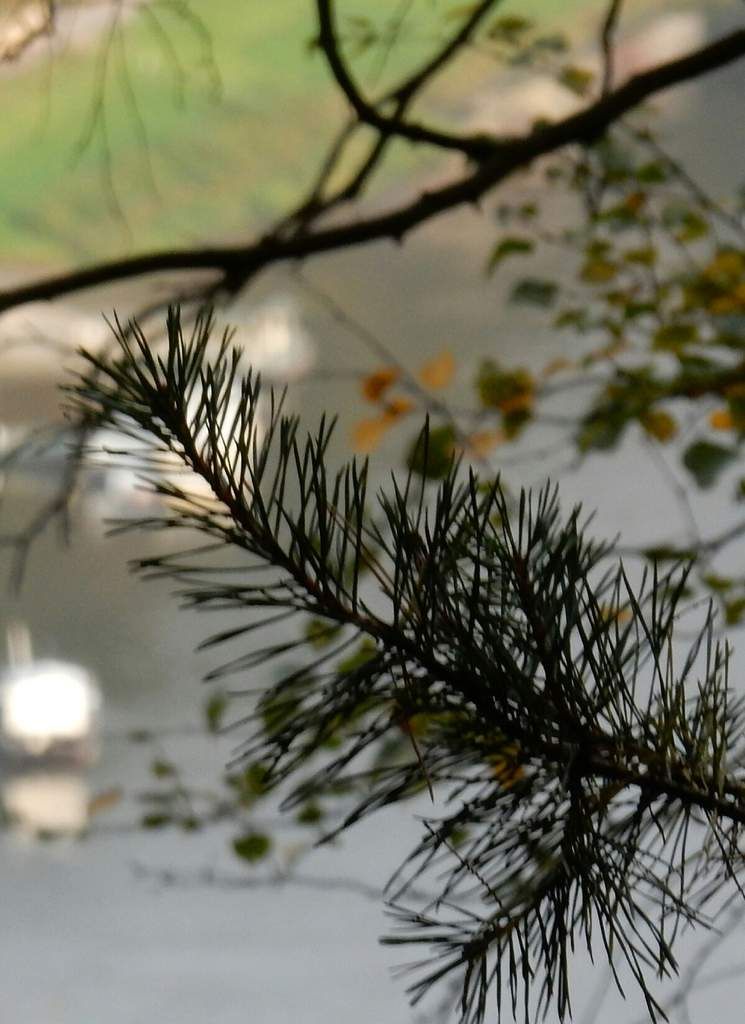 Ein Bastei-Kurzroman