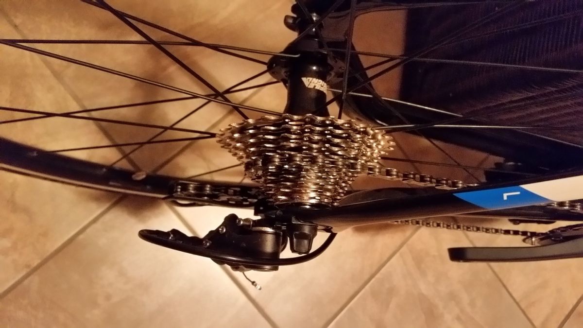 Das kann doch wohl nicht wahr sein!