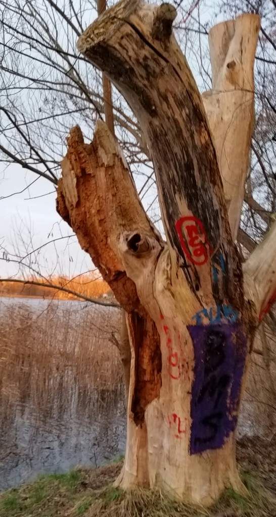 Das kann doch wohl nicht wahr sein!