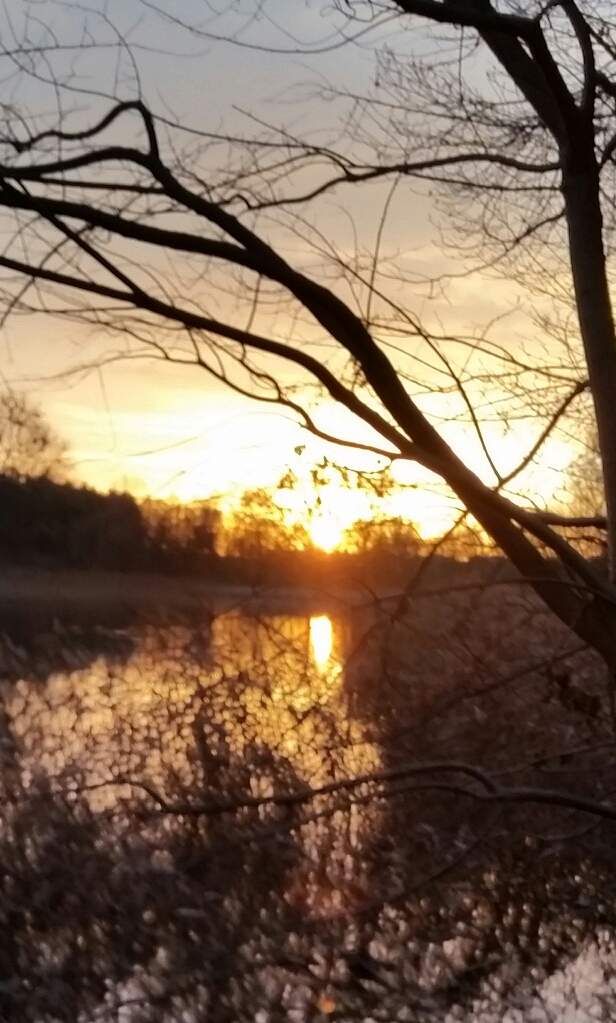 Das kann doch wohl nicht wahr sein!