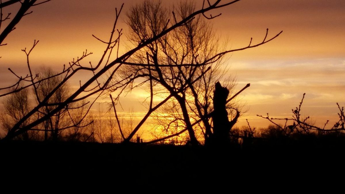 Meine Startnummernscheibe aus Holz, mein Schuhbaum, mein Trockenraum an der Dienststelle, letzte Bilder von der letzten Radfahrt 2017.