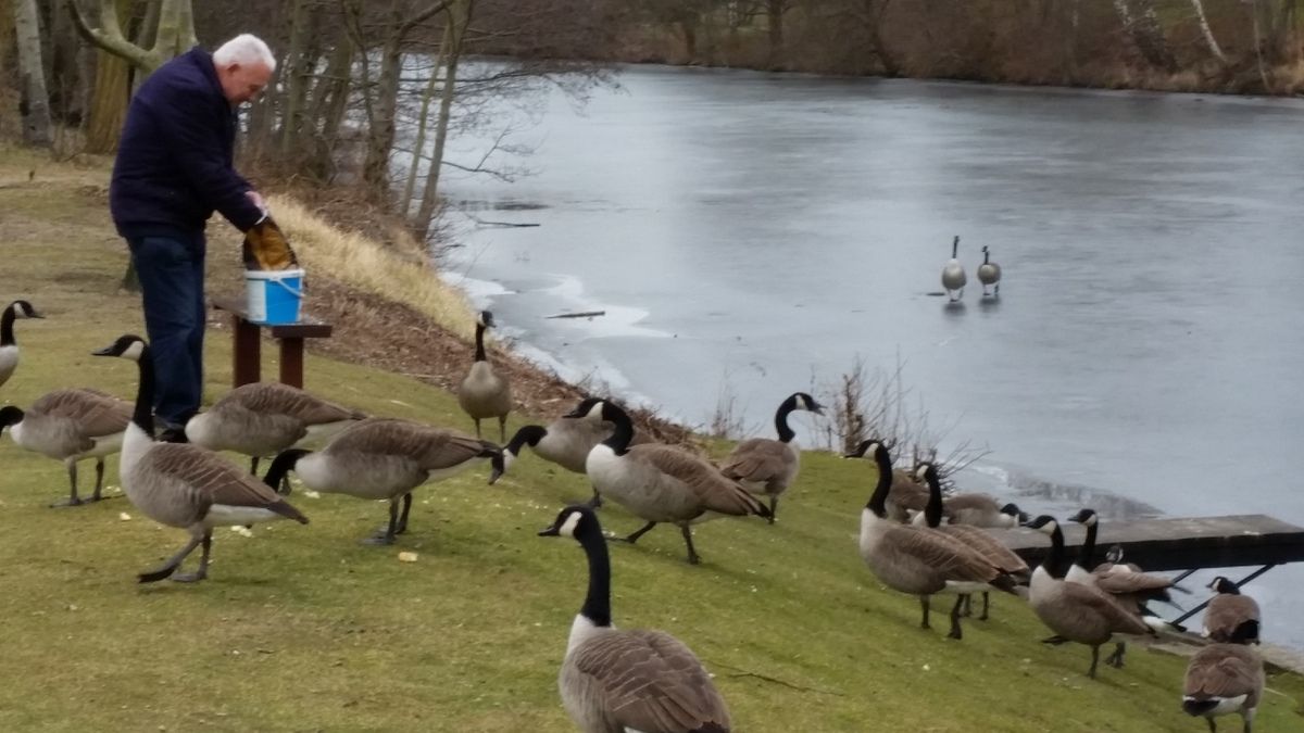 Der Countdown läuft! 284 Tage ab heute!