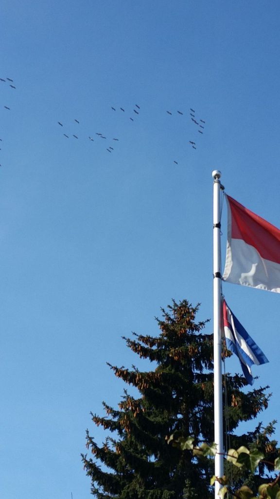 Der erste Frühlingstag! Man konnte sogar den ganzen Tag im Freien verbringen. Also Räder- und Gartenpflege. Die Kraniche sind wieder im Anflug. Die zurückgelegte Radstrecke konnte ich weitestgehend auf GPSIS nachvollziehen.