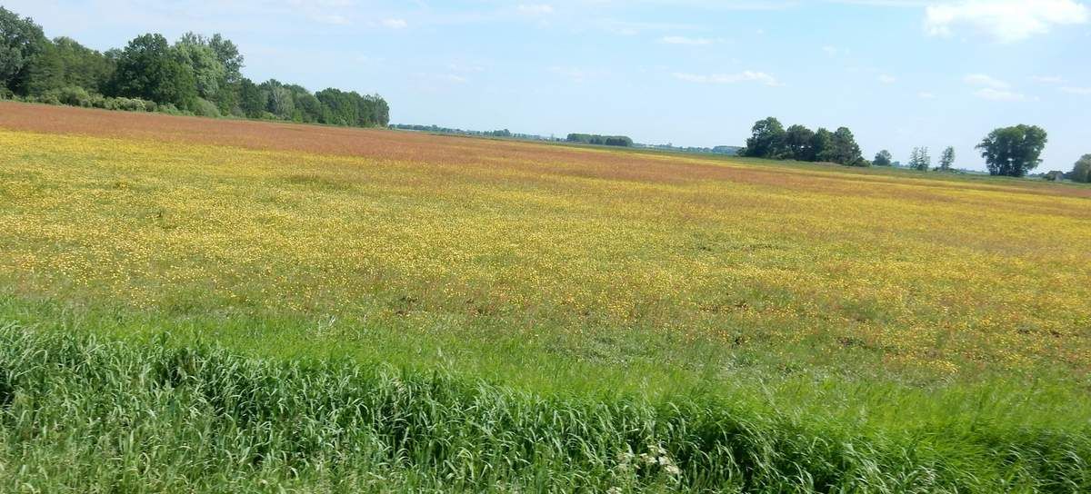 Training für die 300 Km MSR Rundfahrt und der älteste Flugplatz der Welt !