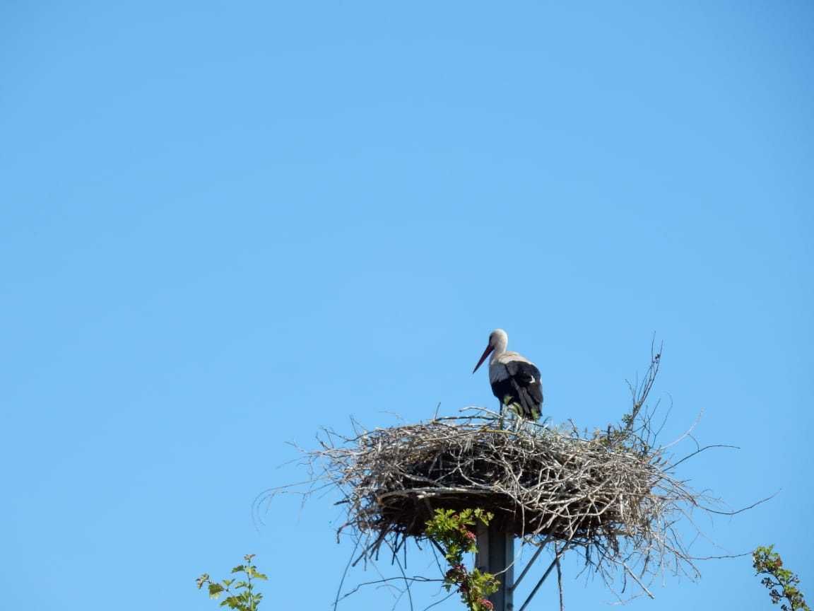 Training für die 300 Km MSR Rundfahrt und der älteste Flugplatz der Welt !