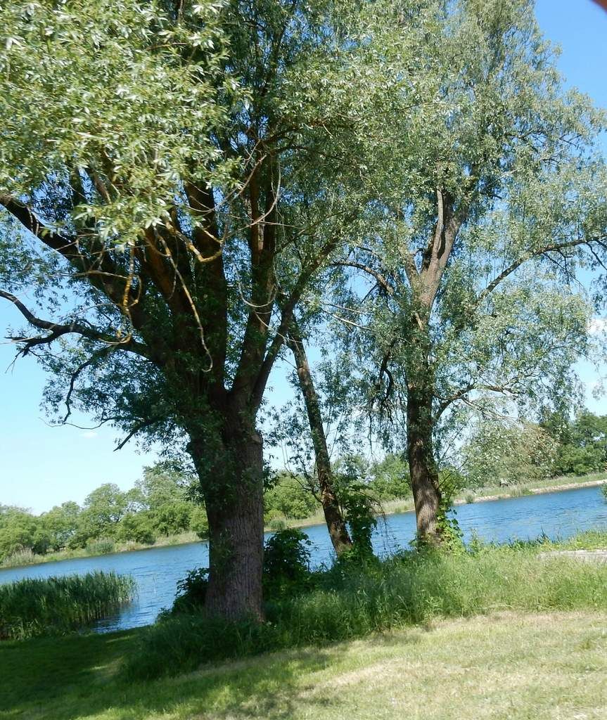 Training für die 300 Km MSR Rundfahrt und der älteste Flugplatz der Welt !