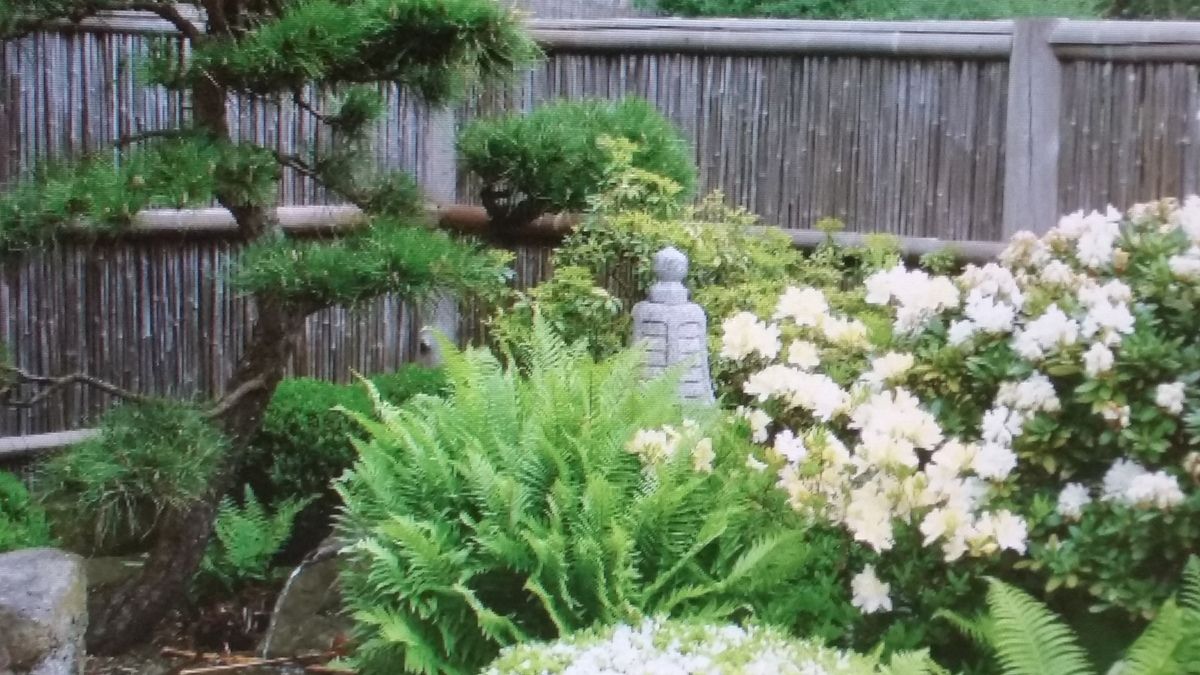 Training für die 300 Km MSR Rundfahrt und der älteste Flugplatz der Welt !