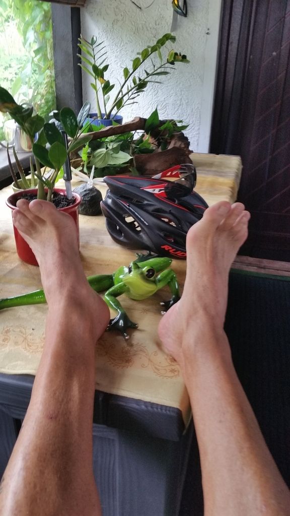 Spreewaldtriathlon 2018...und der Weg wird kein leichter sein, aber ein schöner!