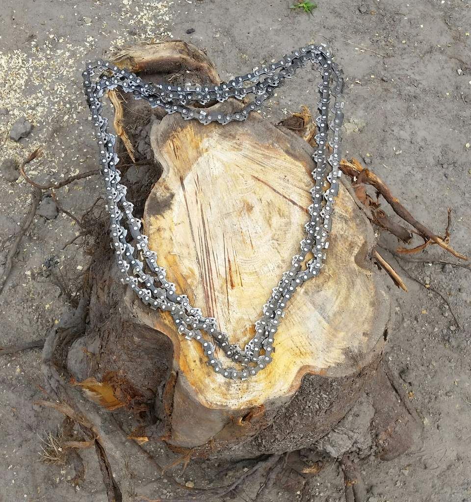 Spreewaldtriathlon 2018...und der Weg wird kein leichter sein, aber ein schöner!