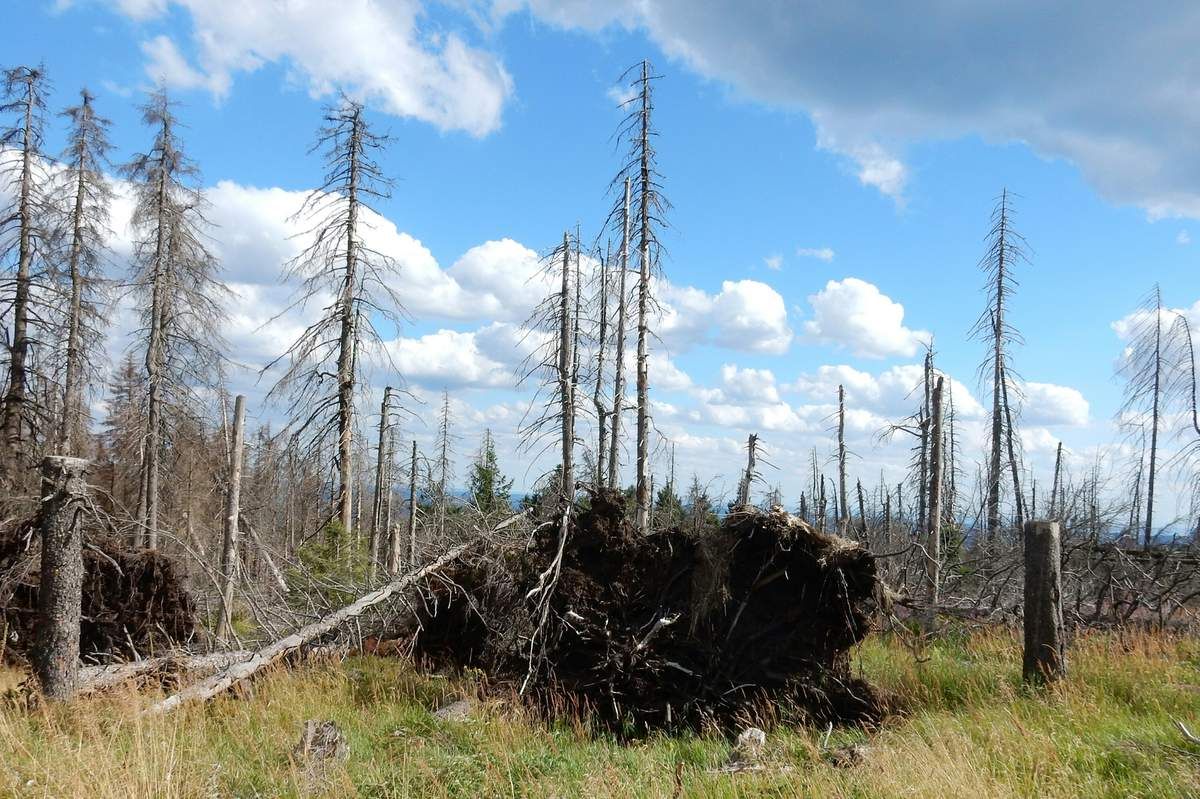 Alle Bilder, die einen Aufstieg zum Brocken zeigen sind gestellt, denn hochwärts ging es ohne Halt!
