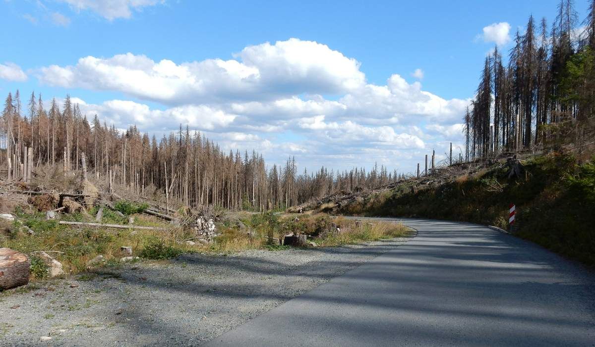 Alle Bilder, die einen Aufstieg zum Brocken zeigen sind gestellt, denn hochwärts ging es ohne Halt!