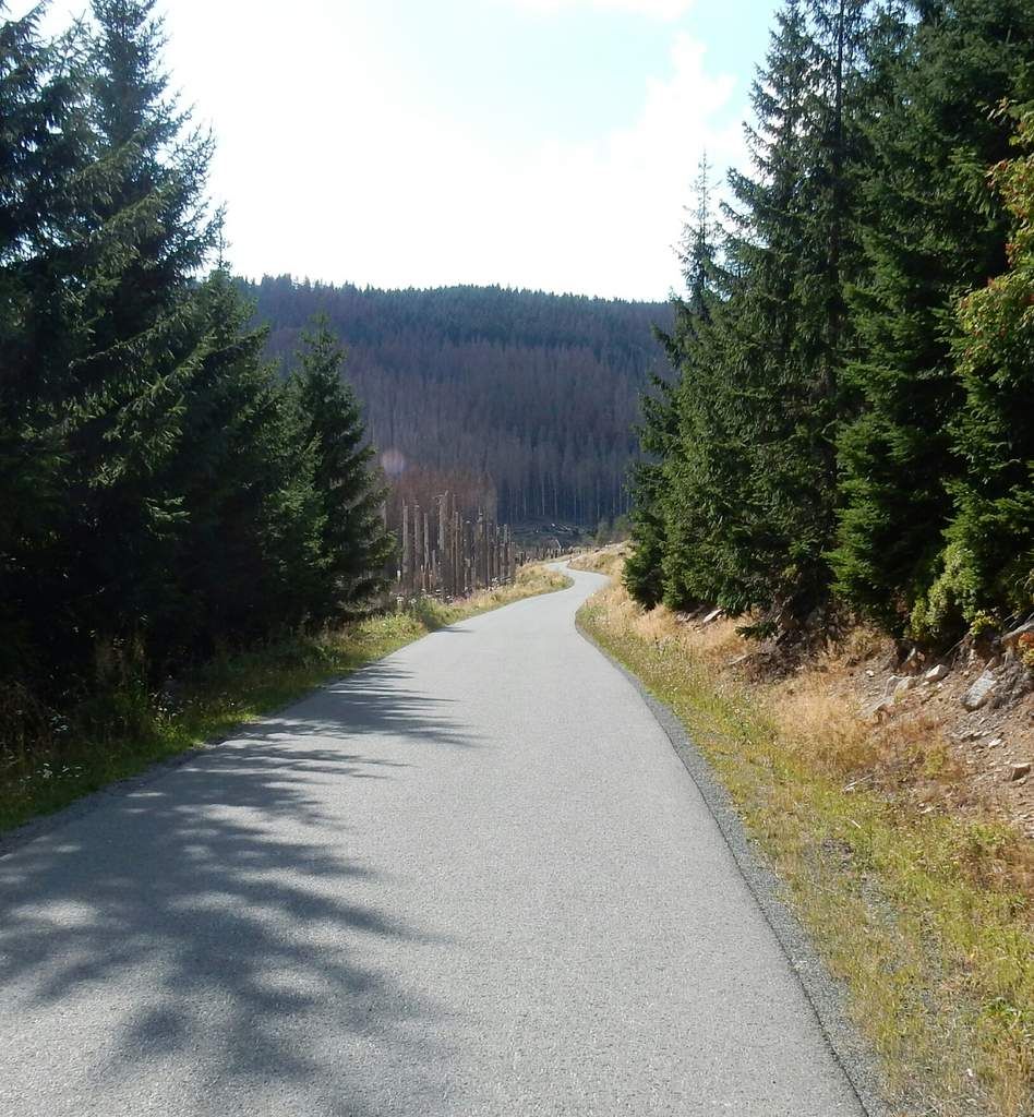 Alle Bilder, die einen Aufstieg zum Brocken zeigen sind gestellt, denn hochwärts ging es ohne Halt!