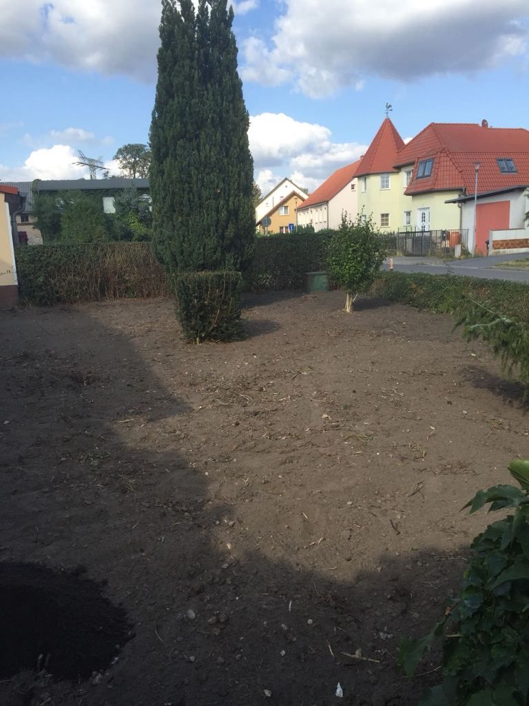 Mein 25. Berlin Marathon