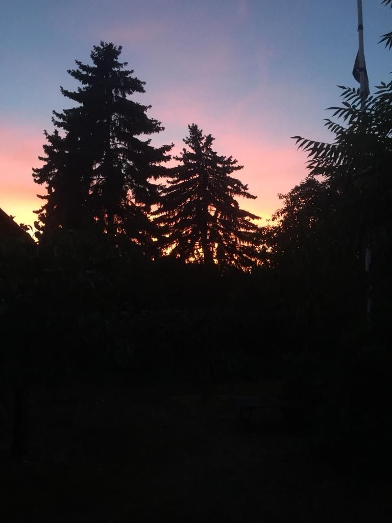 Mein 25. Berlin Marathon