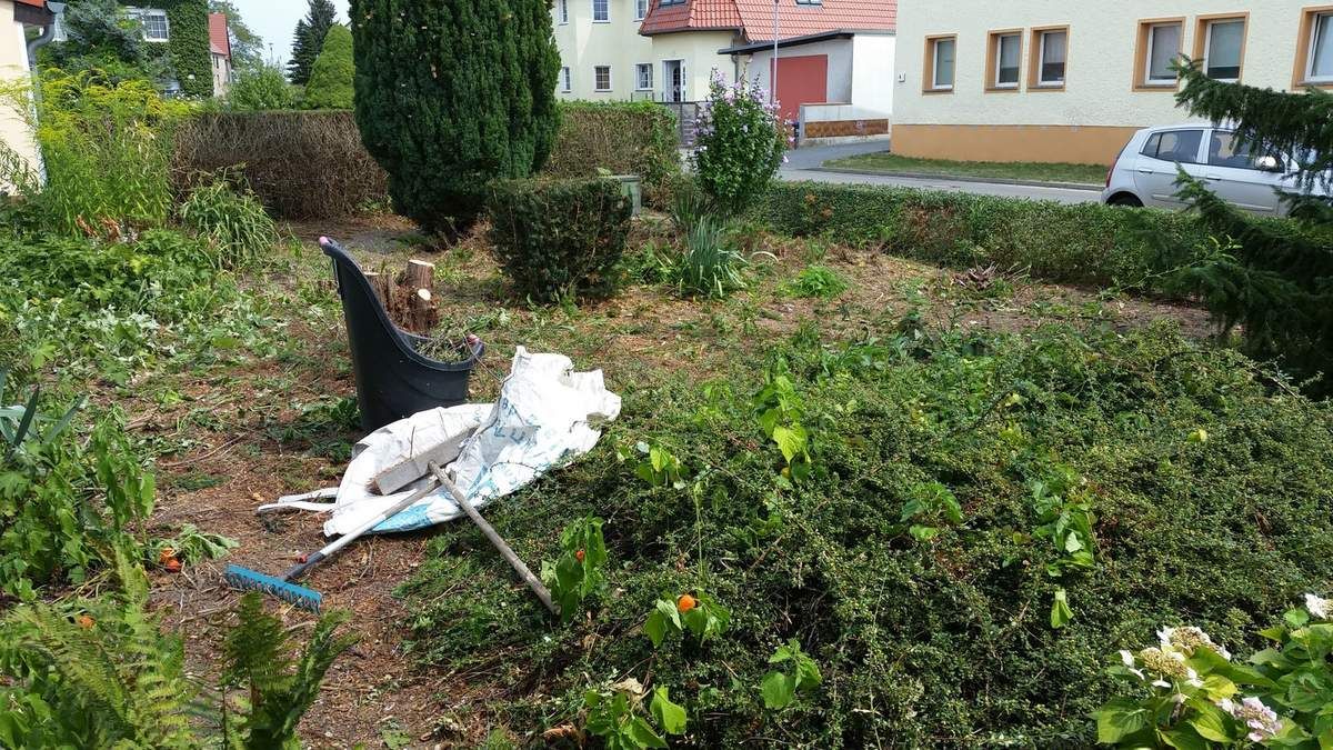 Mein 25. Berlin Marathon