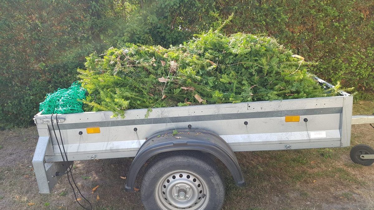 Mein 25. Berlin Marathon