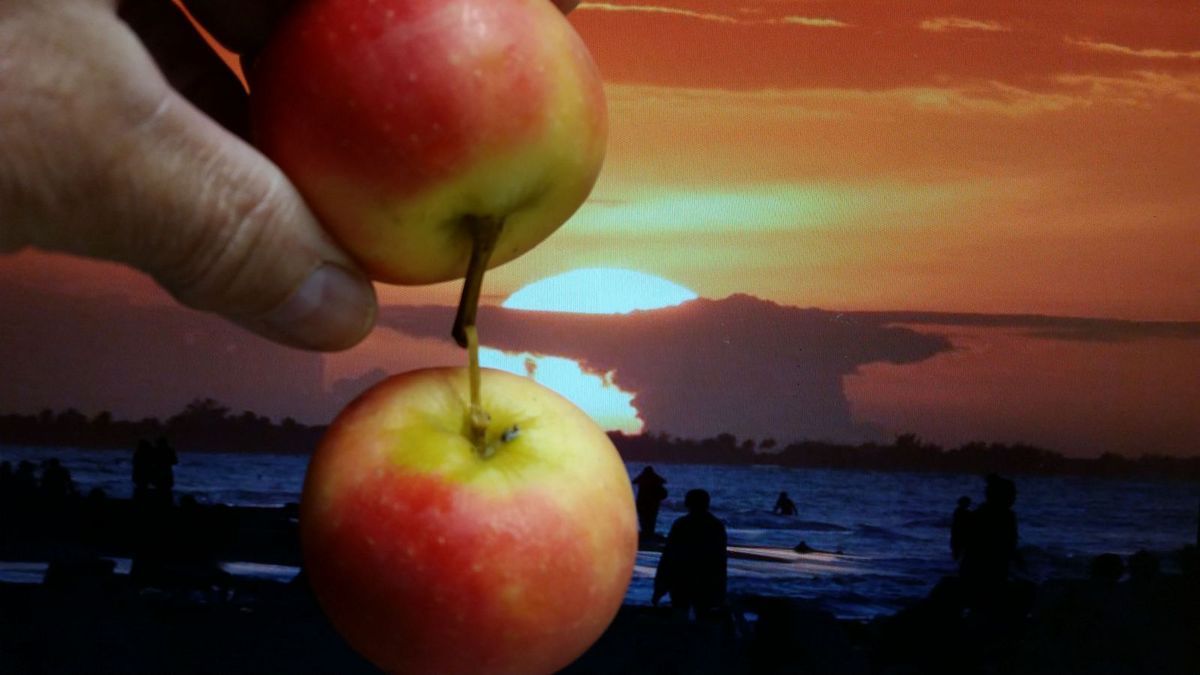 Wird dies dann so aussehen?