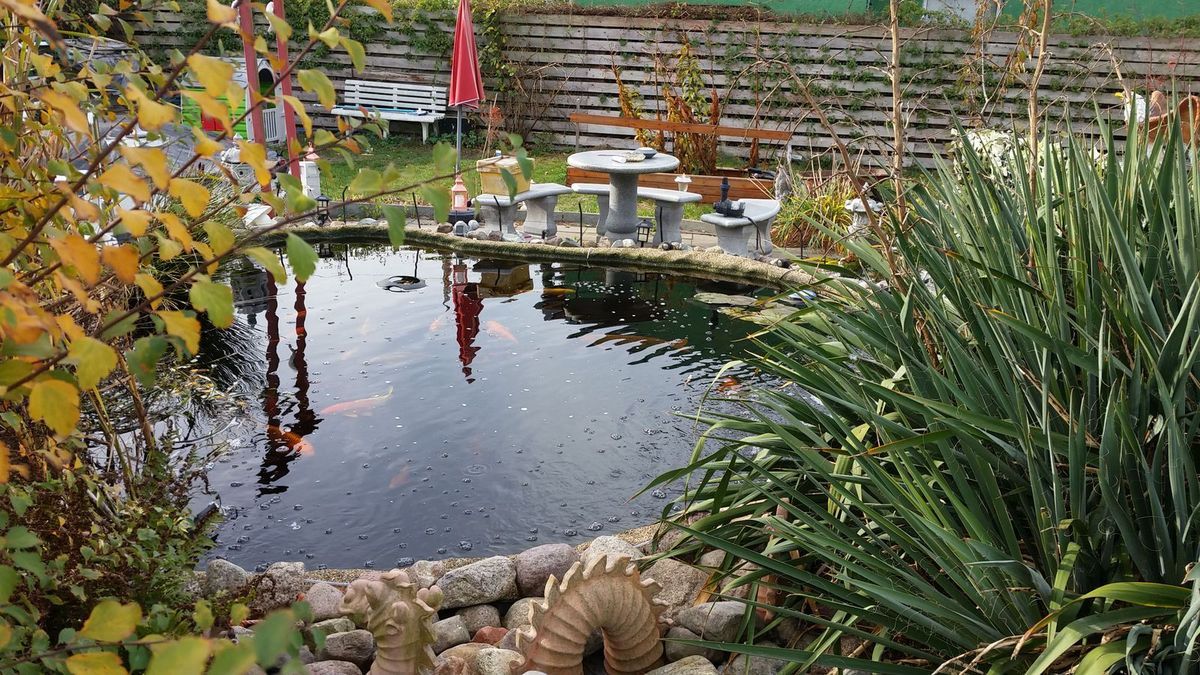 Pensionierung und nun?