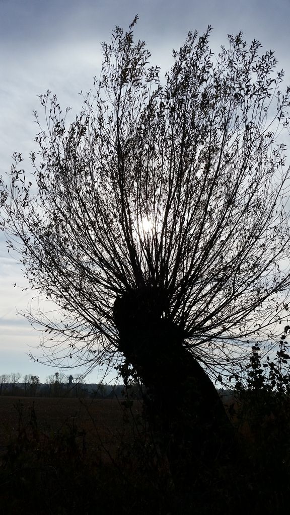 Pensionierung und nun?