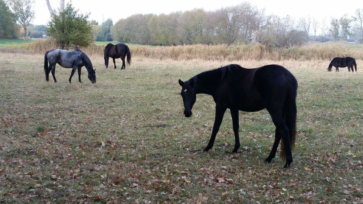 Pensionierung und nun?