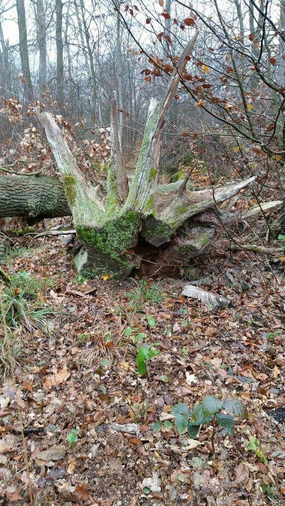 Winterbereitschaft hergestellt
