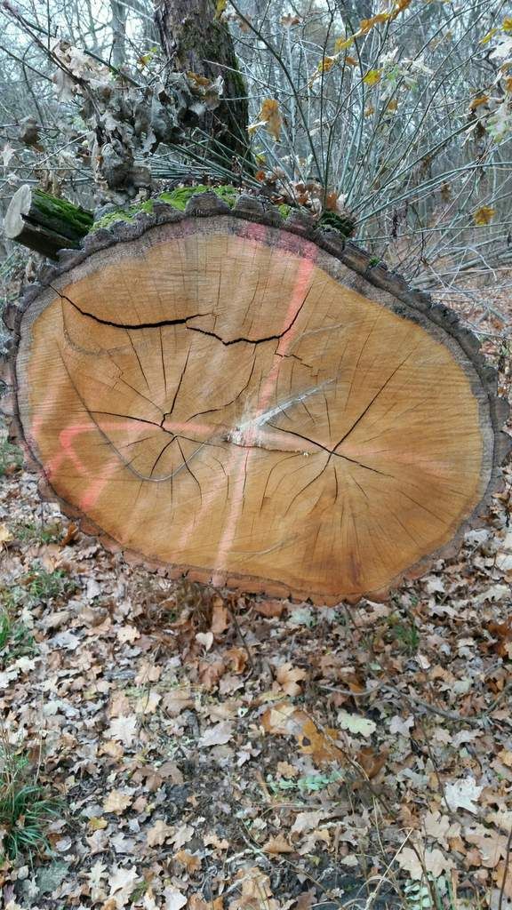 Winterbereitschaft hergestellt