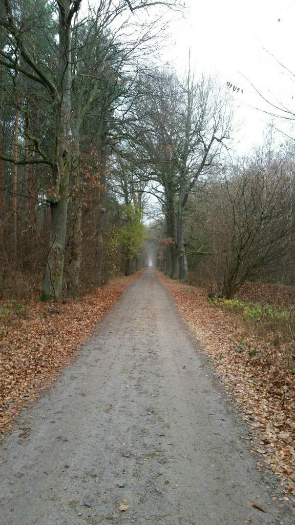 Winterbereitschaft hergestellt