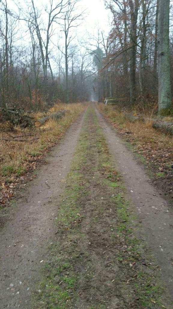 Winterbereitschaft hergestellt