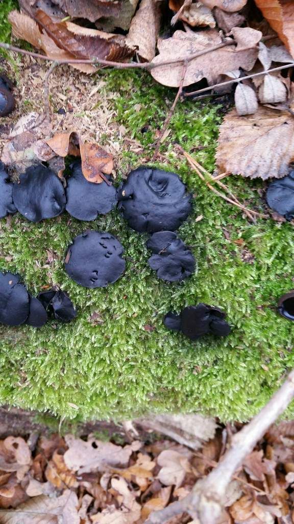 Winterbereitschaft hergestellt