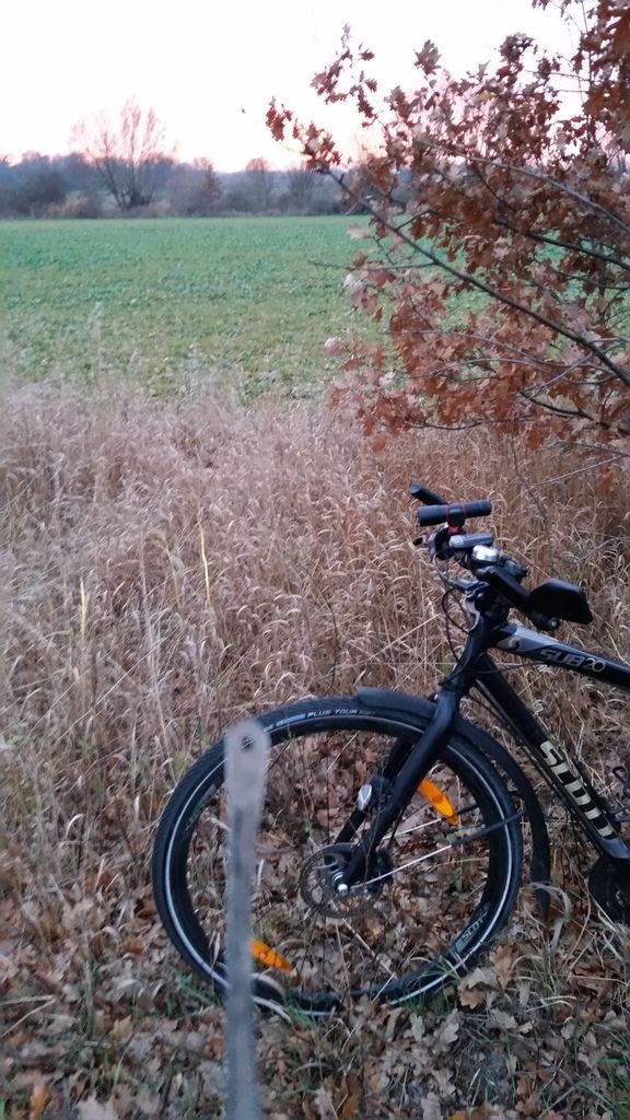 Ohne Worte-die letzte Fahrt, ein Ende und ein Neuanfang