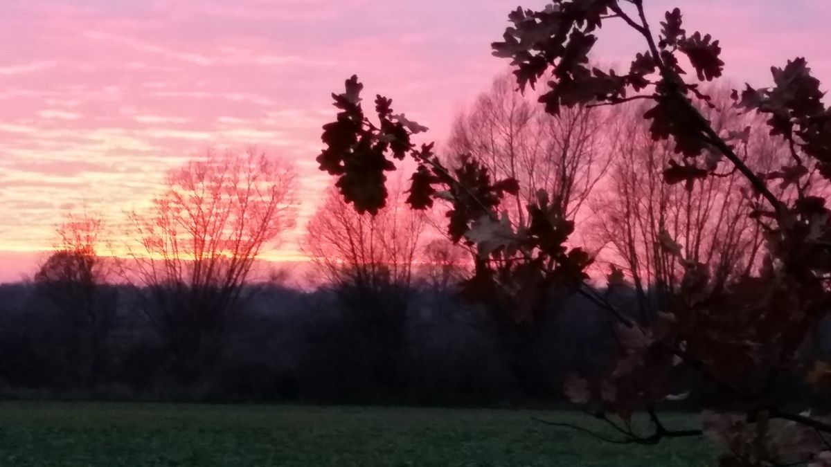 Ohne Worte-die letzte Fahrt, ein Ende und ein Neuanfang