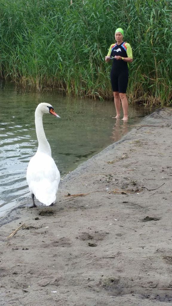 Regeneratives Radfahren, Schwimmen, Gehen, Radflicken und wieder Radfahren