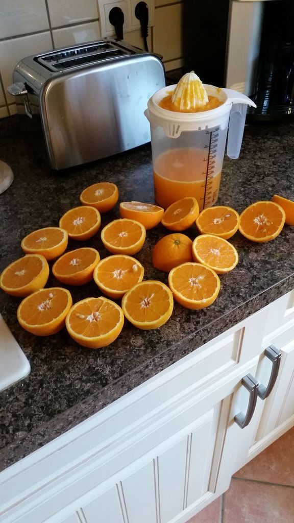 Entlang des Havelradweg- neue Trainingsstrecken mit Aussicht