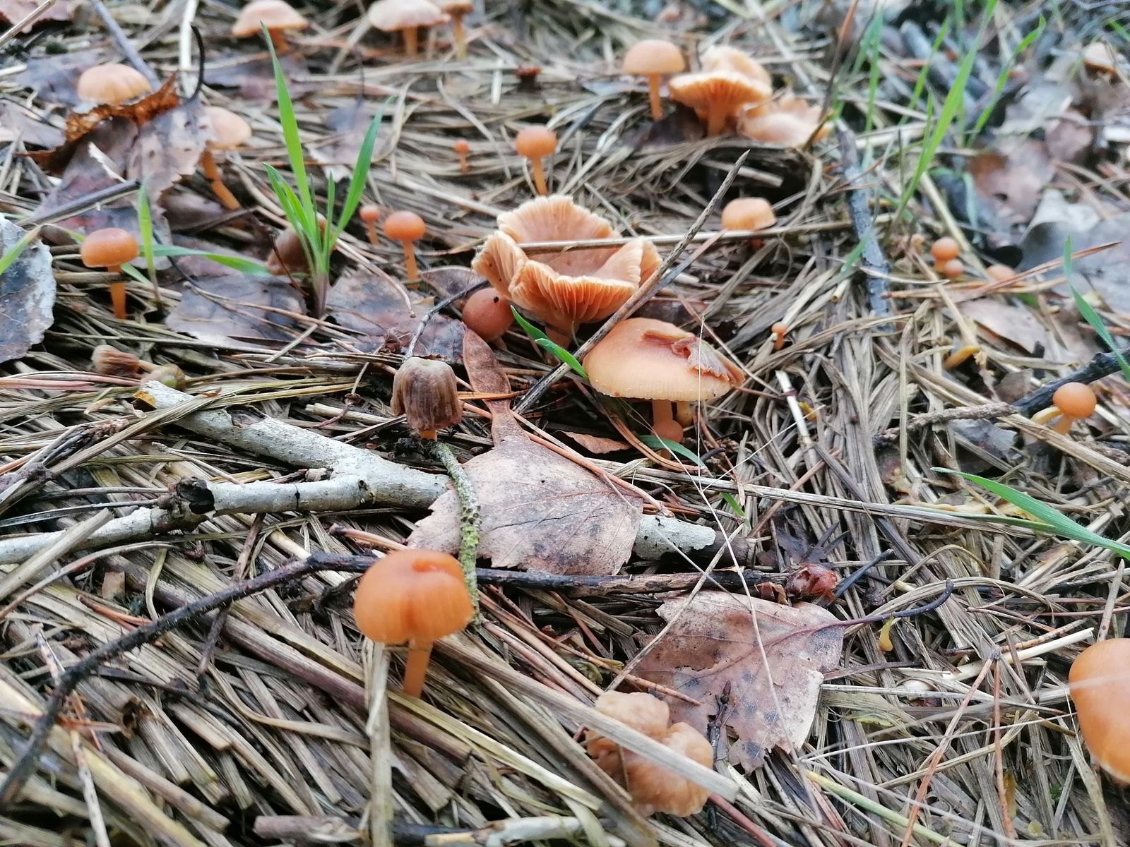 Sport und Fotografie