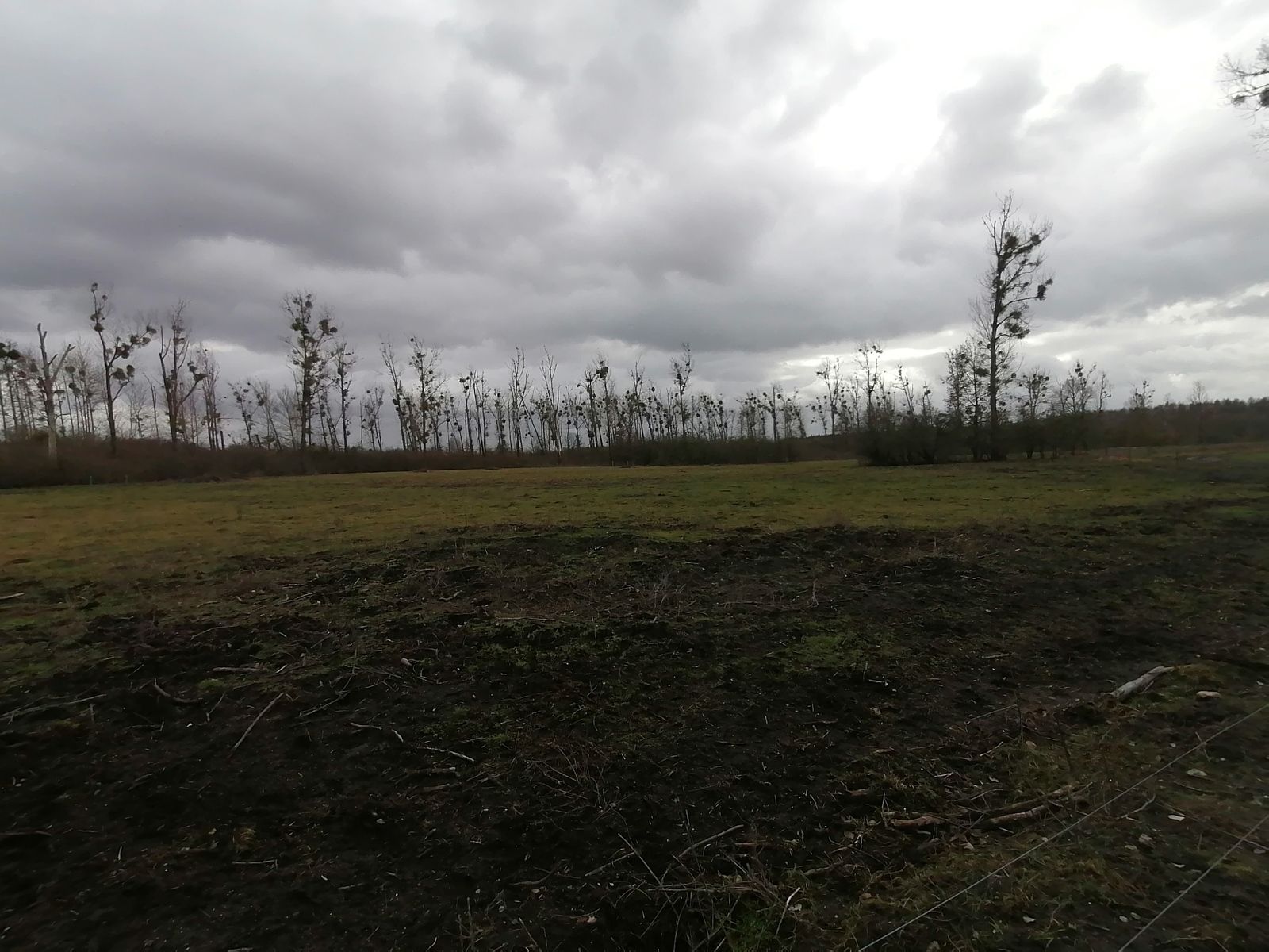 Sport und Fotografie