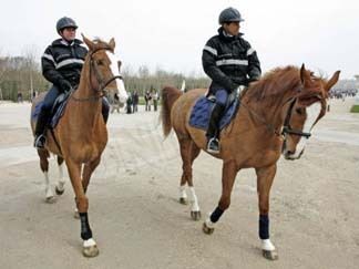 Un nouveau diplôme ! : Titre de niveau IV Agent de Prévention et de Sécurité Equestre (Garde Equestre-Titre RNCP)