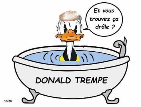 Humour Donald Trump Président: De l'horreur à la Joie du Front National