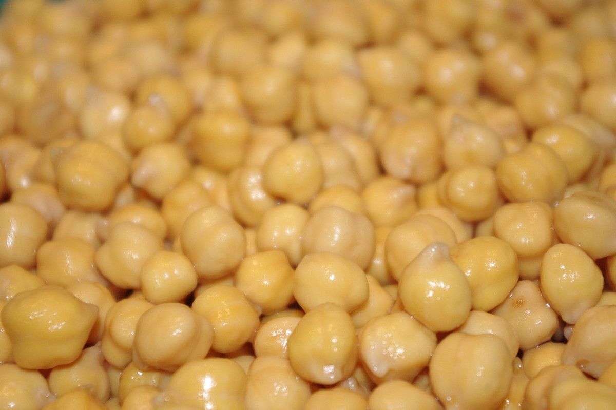 Pois chiches en conserve