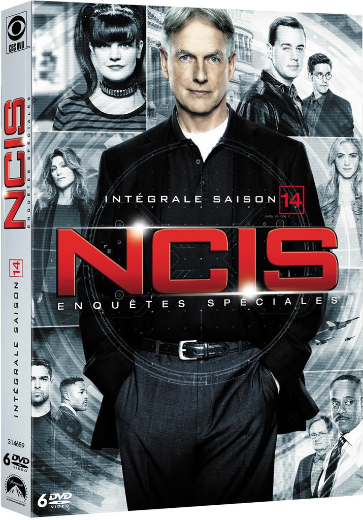 NCIS : Enquêtes Spéciales - Saison 14 (DVD) - Critiques séries et ciné,  actu - Breaking News, ça déborde de potins