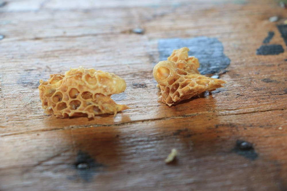 6) Élevage des reines 2018, l’introduction d’une reine dans une ruche Apiculture