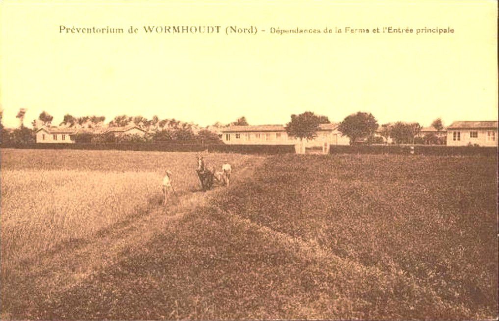 (26) Wormhout Cartes Postales Anciennes 